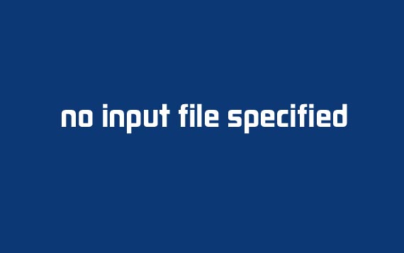 no input file specified服务器和虚拟主机解决方法！