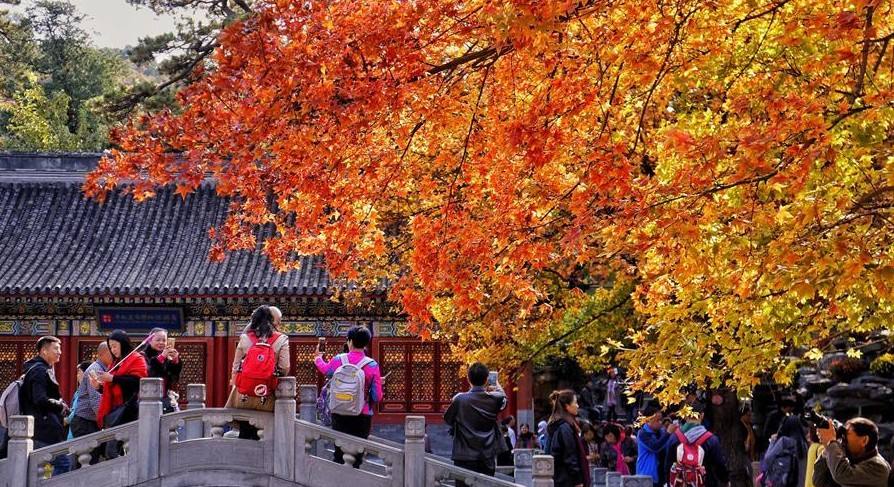 北京香山红叶最佳观赏时间是什么时候？