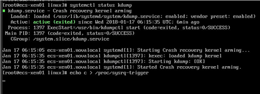 天翼云- Linux弹性云主机发生kdump时，操作系统无响应 第1张