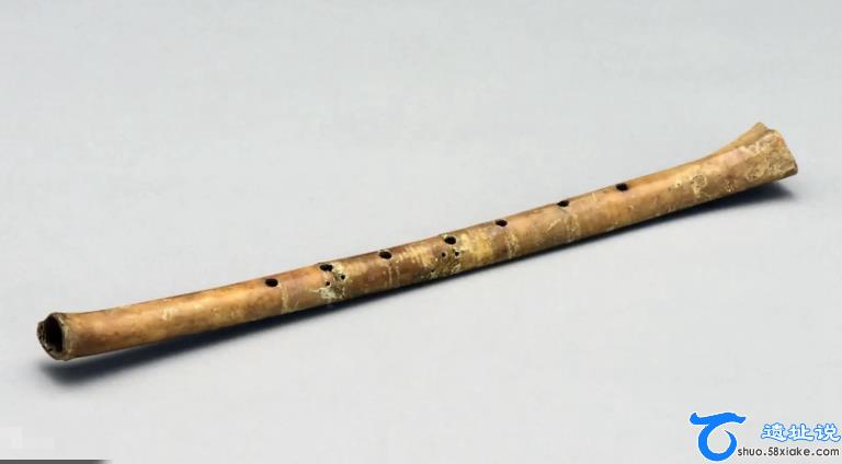贾湖遗址出土了世界最早的笛子 第1张