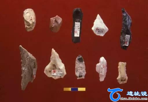 峙峪遗址- 中国旧石器考古方法之检讨 第3张