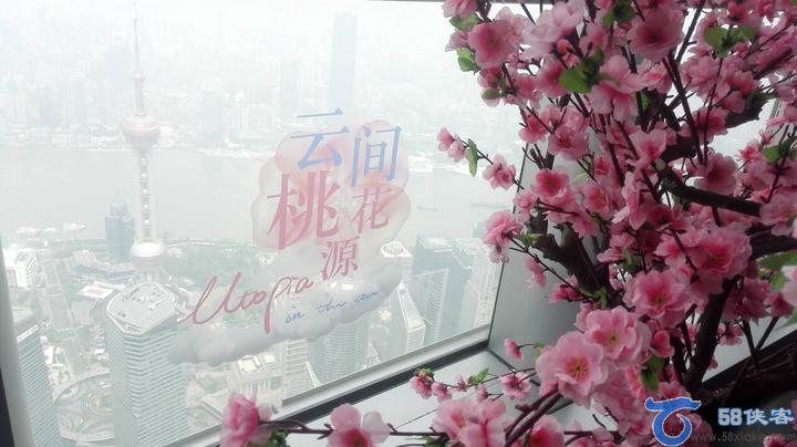 上海中心大厦怎么去旅游攻略 第17张