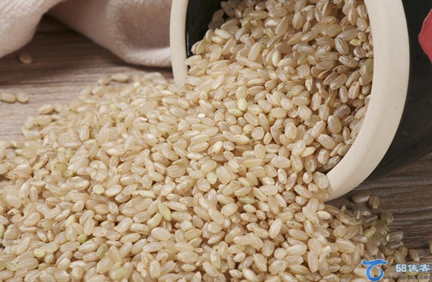 糙米是什么米 第1张