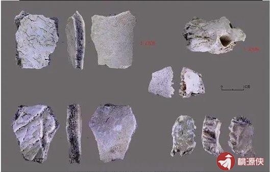 世界性重大考古发现： 皮洛遗址 第2张